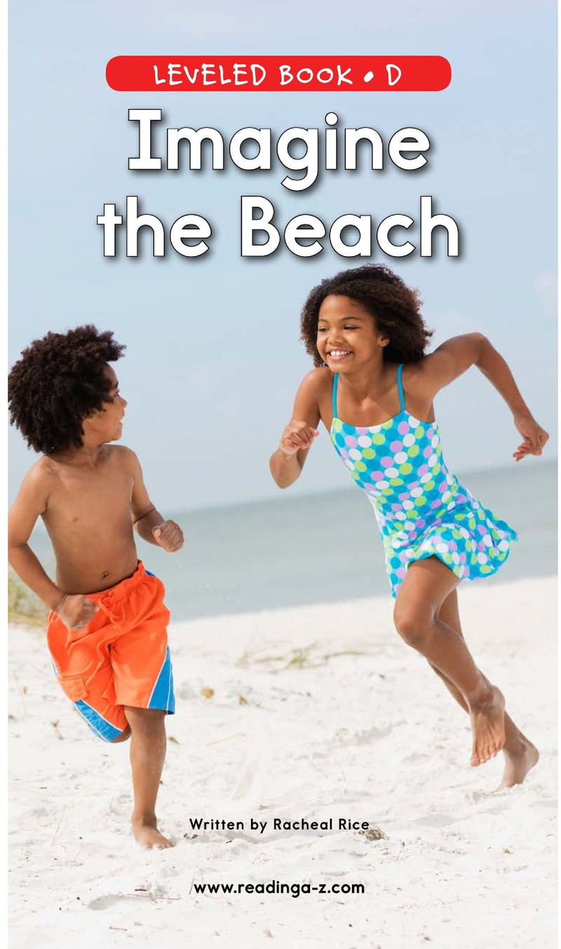 D-44-Imagine the Beach