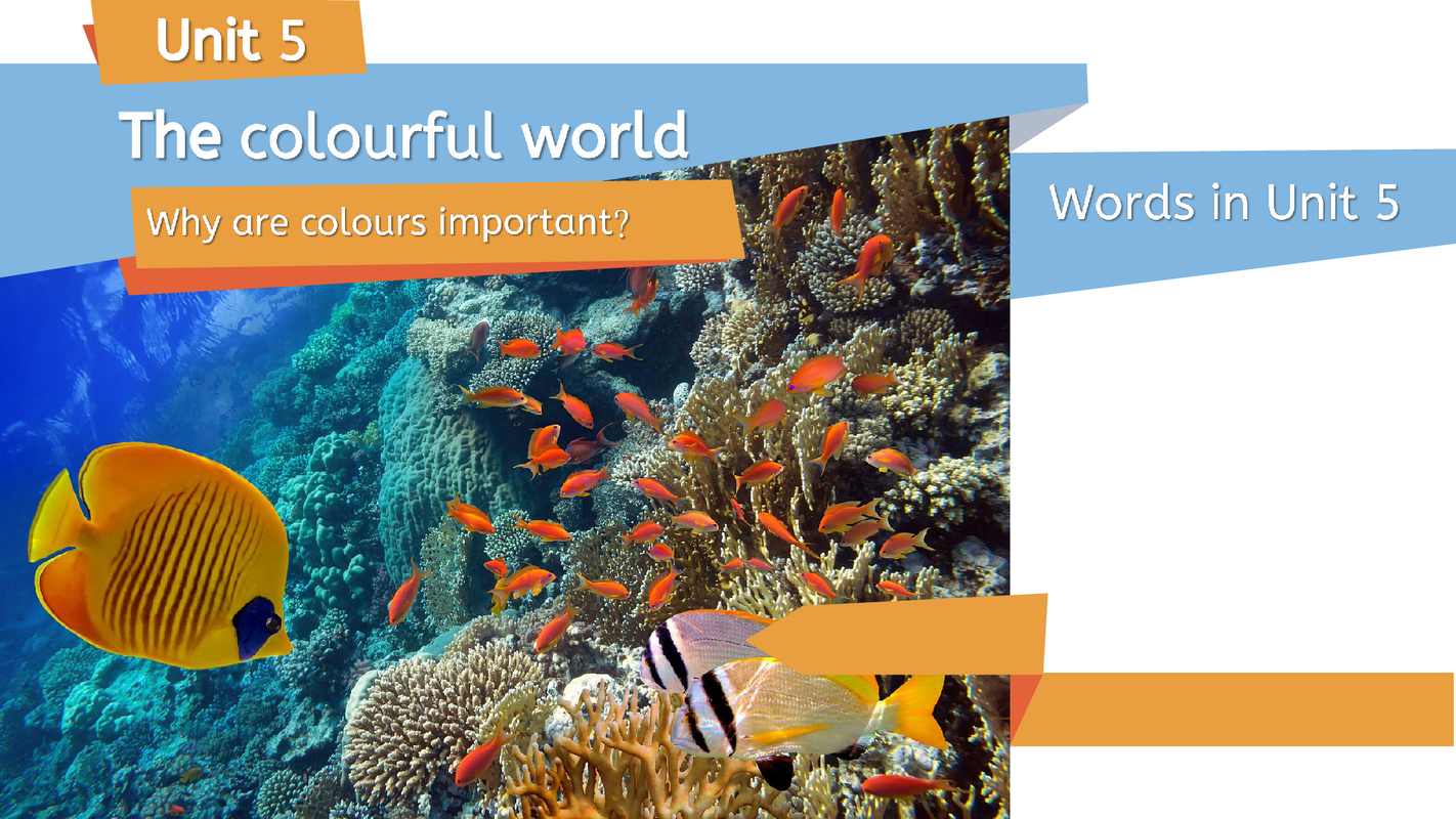 Unit 5 The colourful world - words
