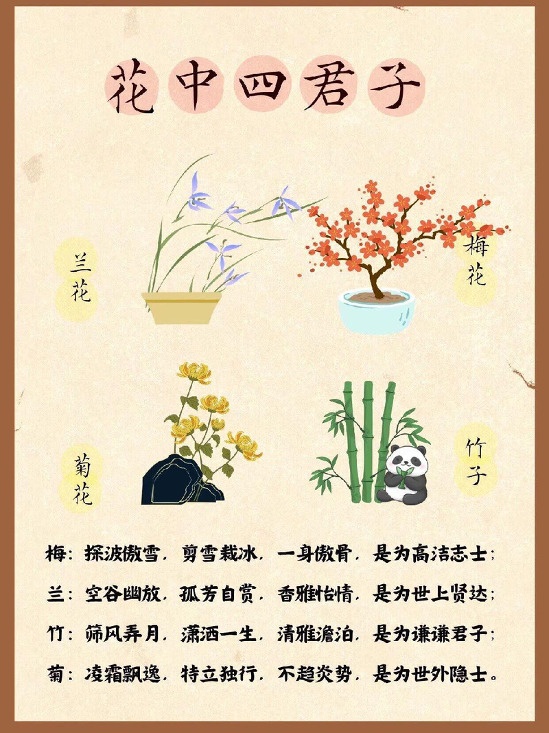 语文 封面