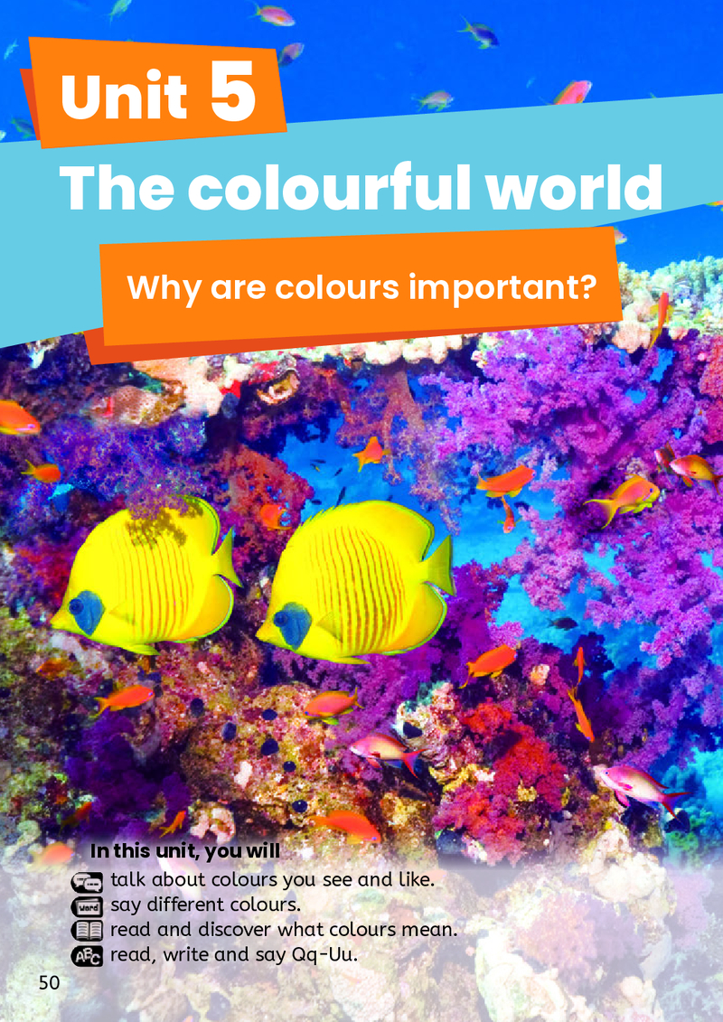 Unit 5 The colourful world