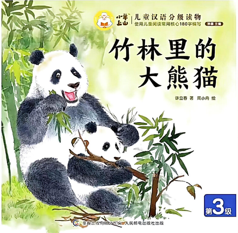 竹林里的大熊猫