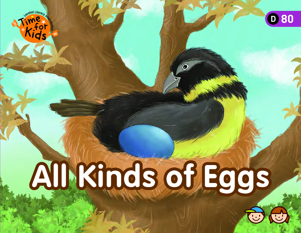All Kinds of Eggs