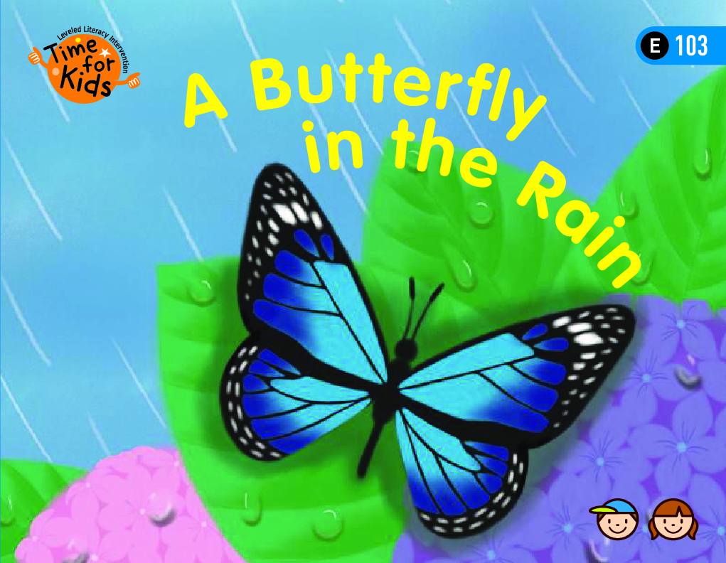 A Butterfly in the Rain