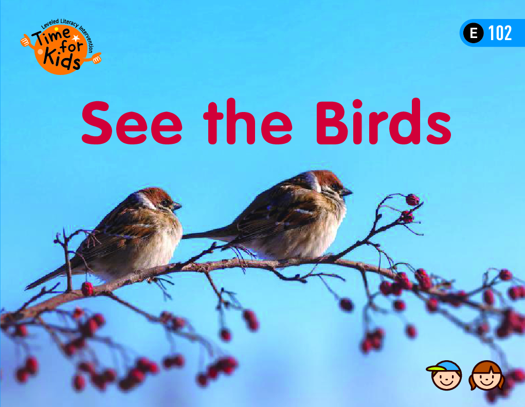 See the Birds