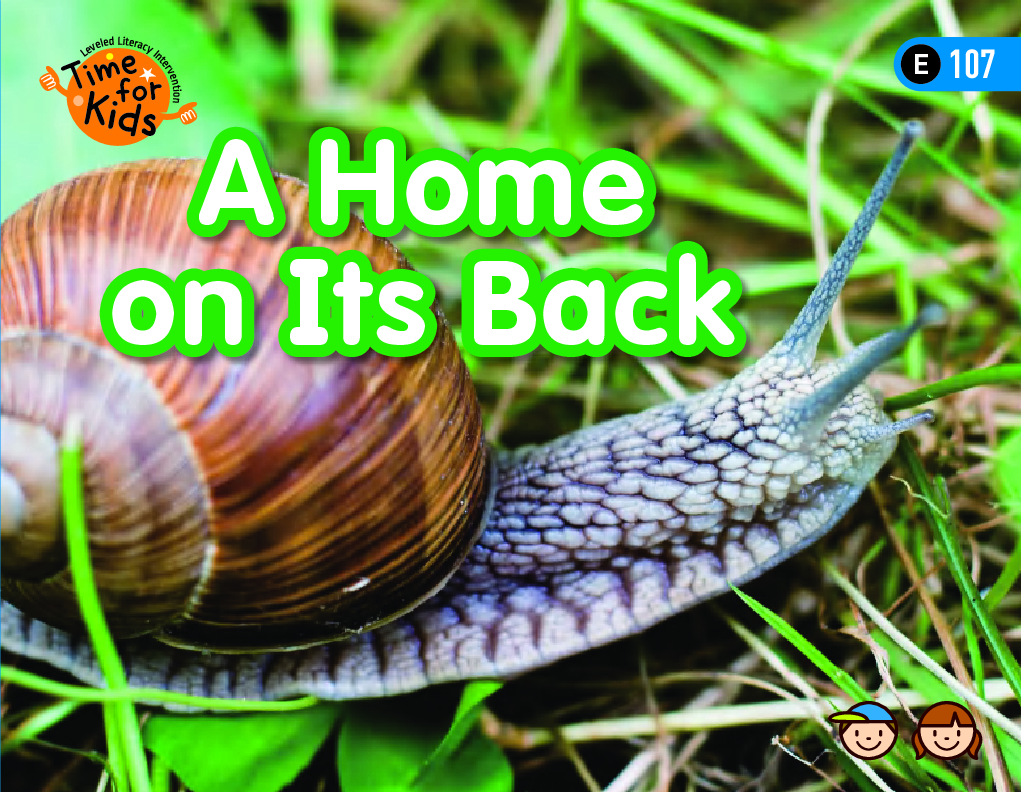 A home on Its Back