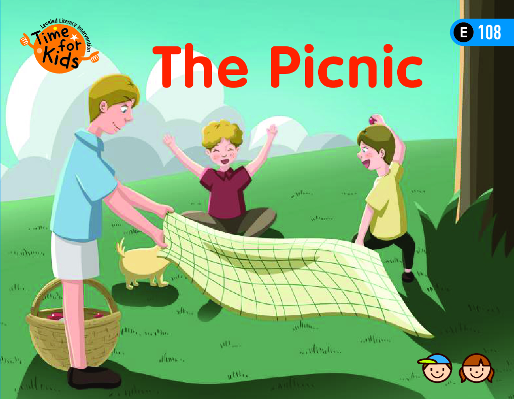 The Picnic