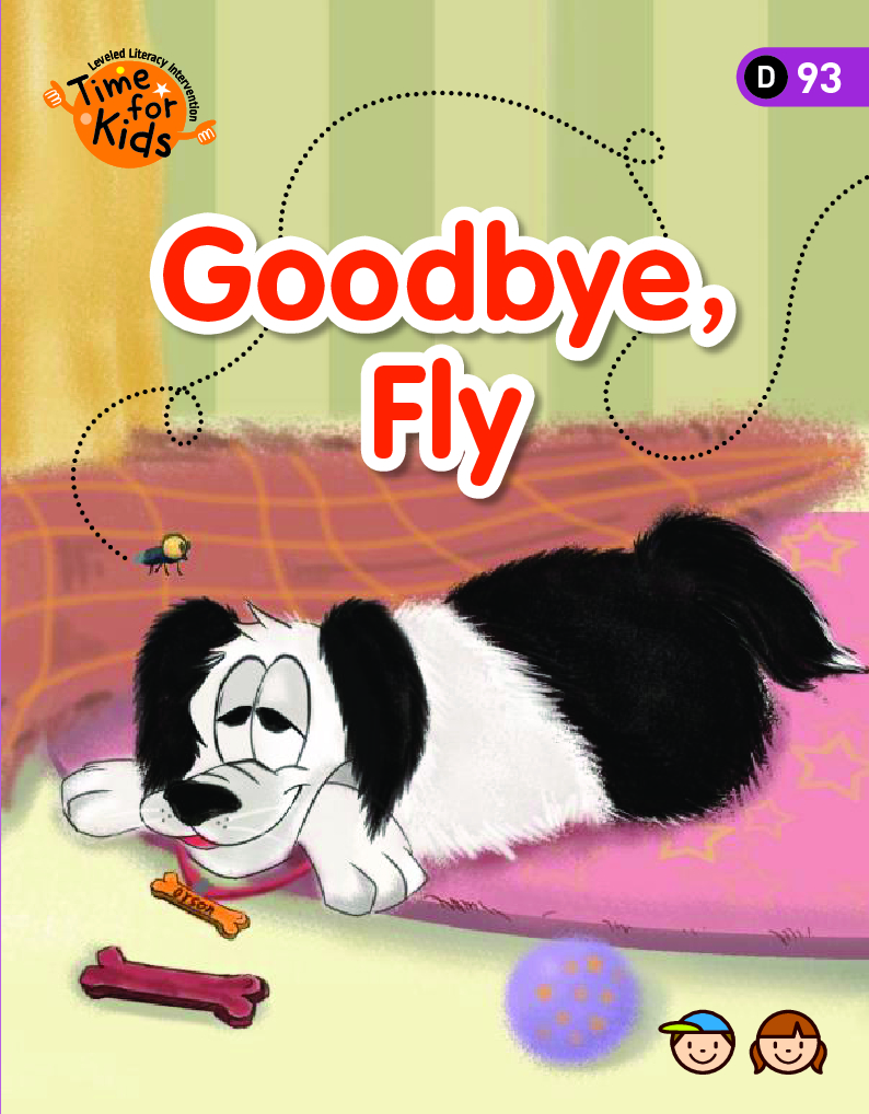 Goodbye Fly