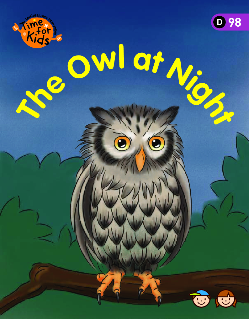 The owl at night