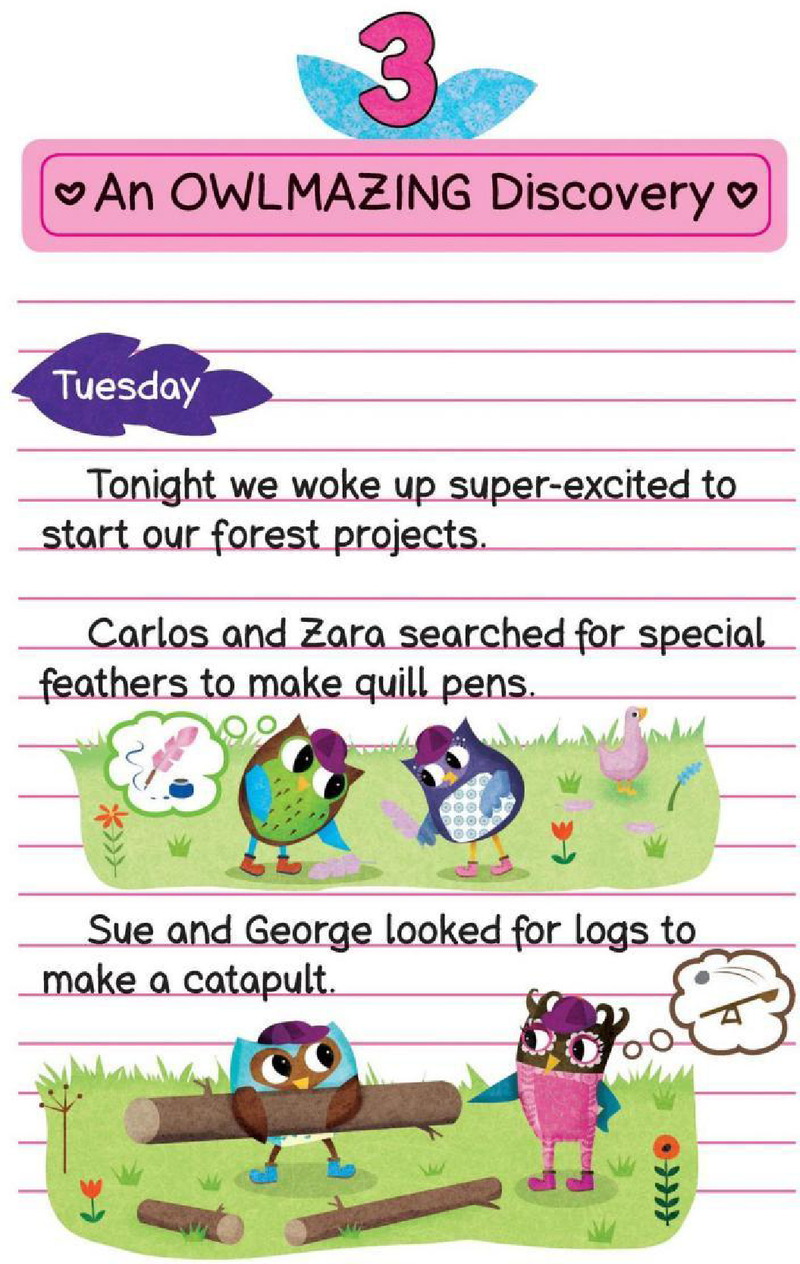 3 An OWLMAZING Discovery