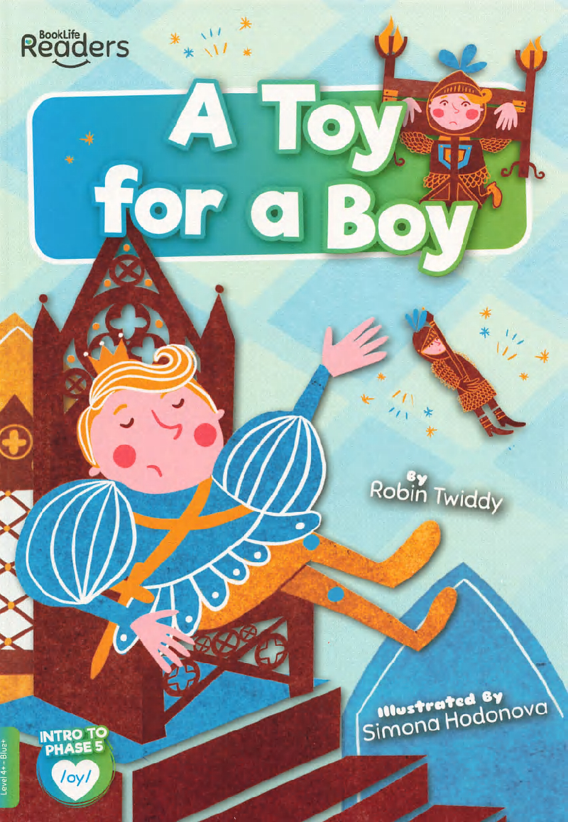 A Toy for a Boy