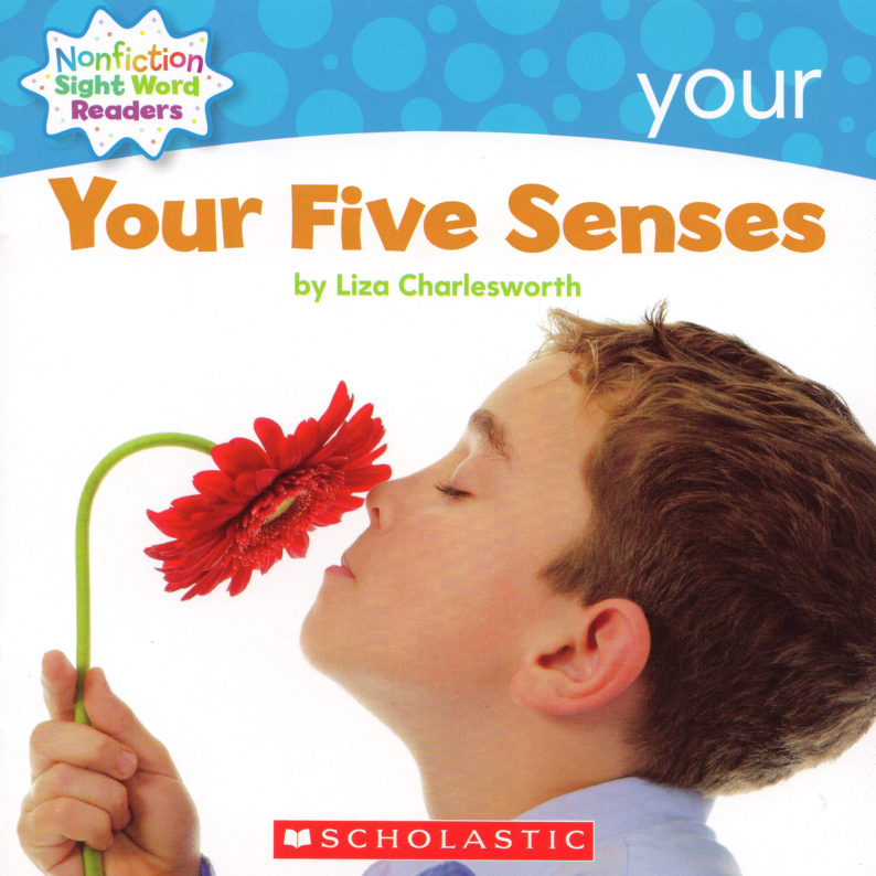Your five senses