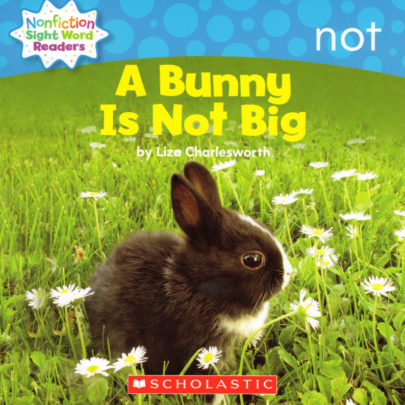 A bunny is not big