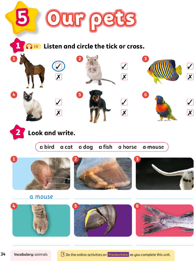 Kid’s Box AB-U5