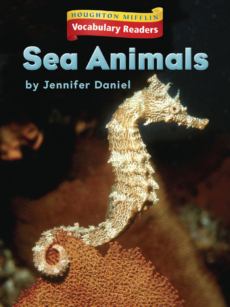 1.3.3 - Sea Animals