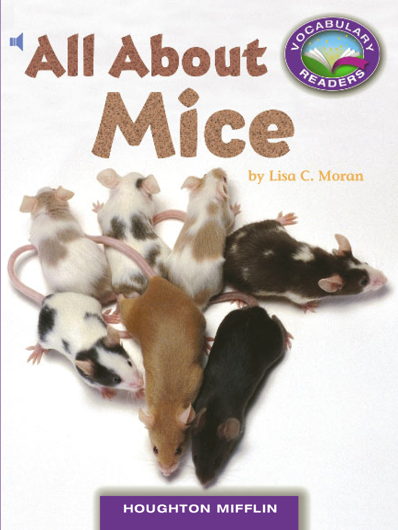 All About Mice