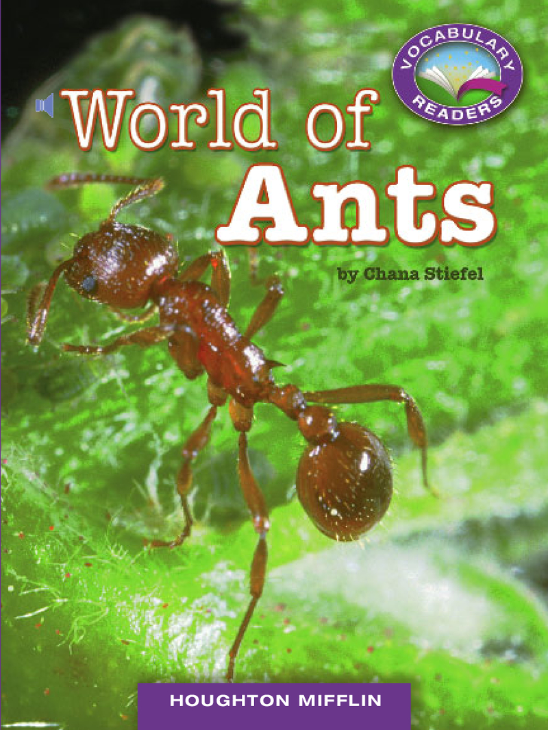 World of Ants