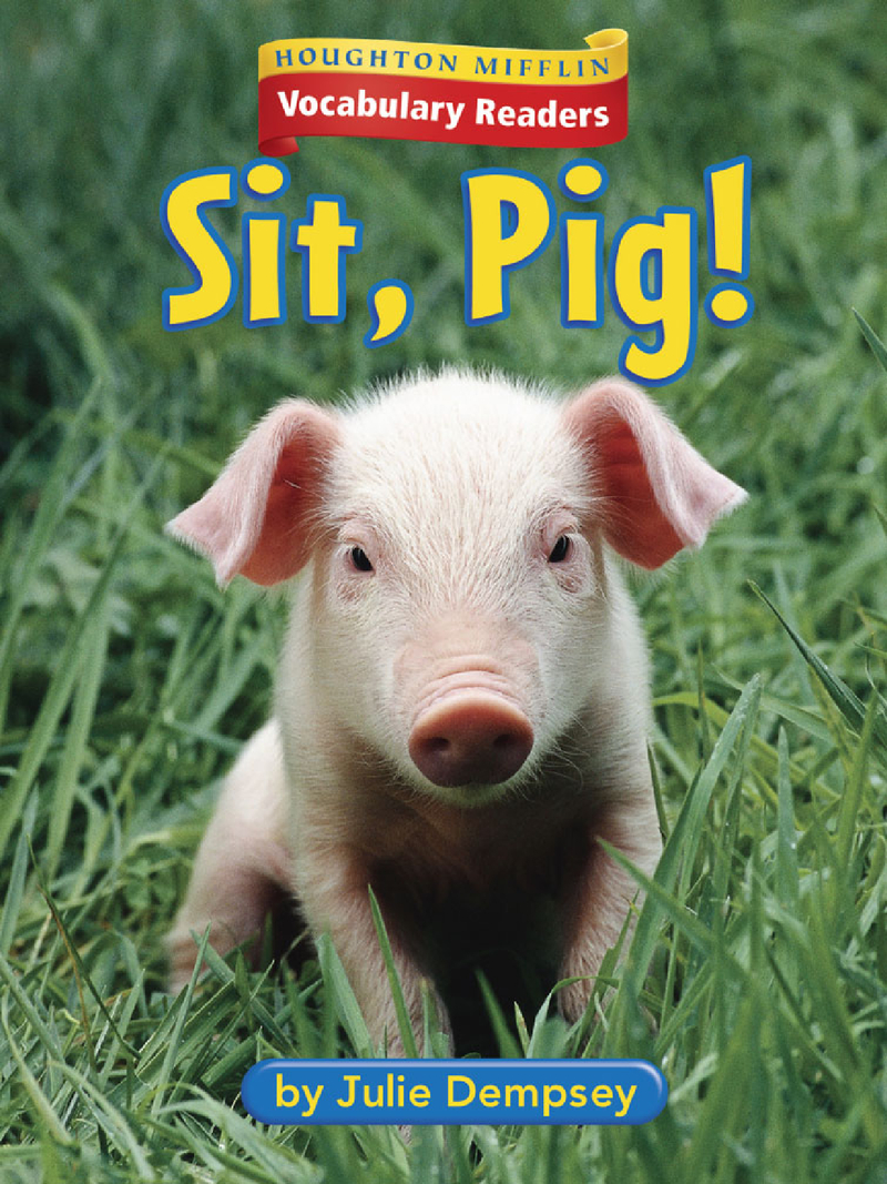 1.1.3 - Sit, Pig!