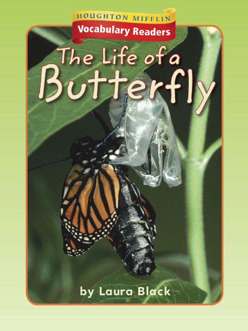 1.8.2 - The Life of a Butterfly