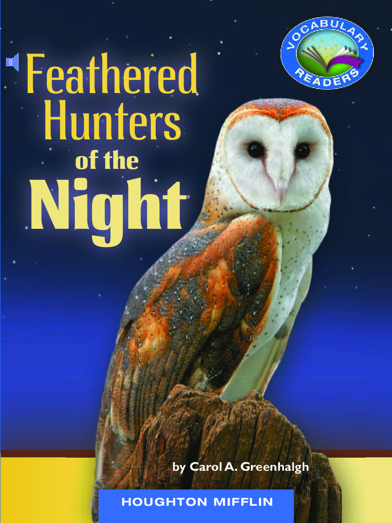 Feathered Hunters of the Night