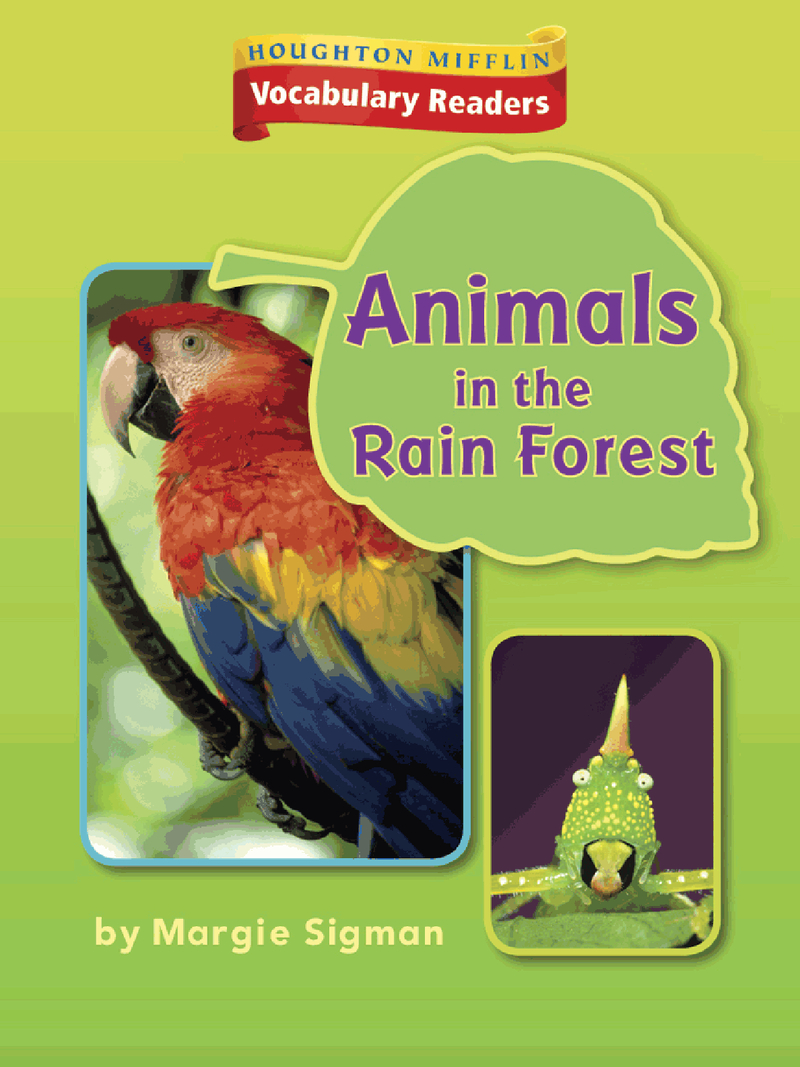 1.6.3 - Animals in the Rain Forest