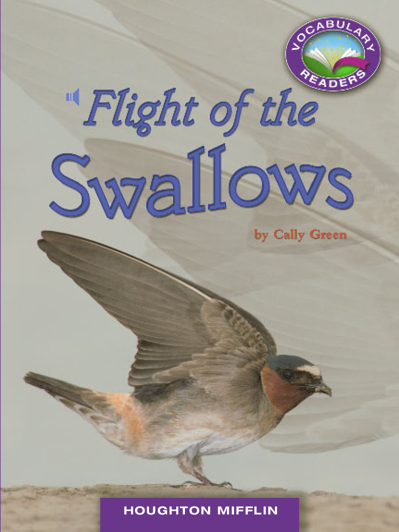 Flight of the Swallows