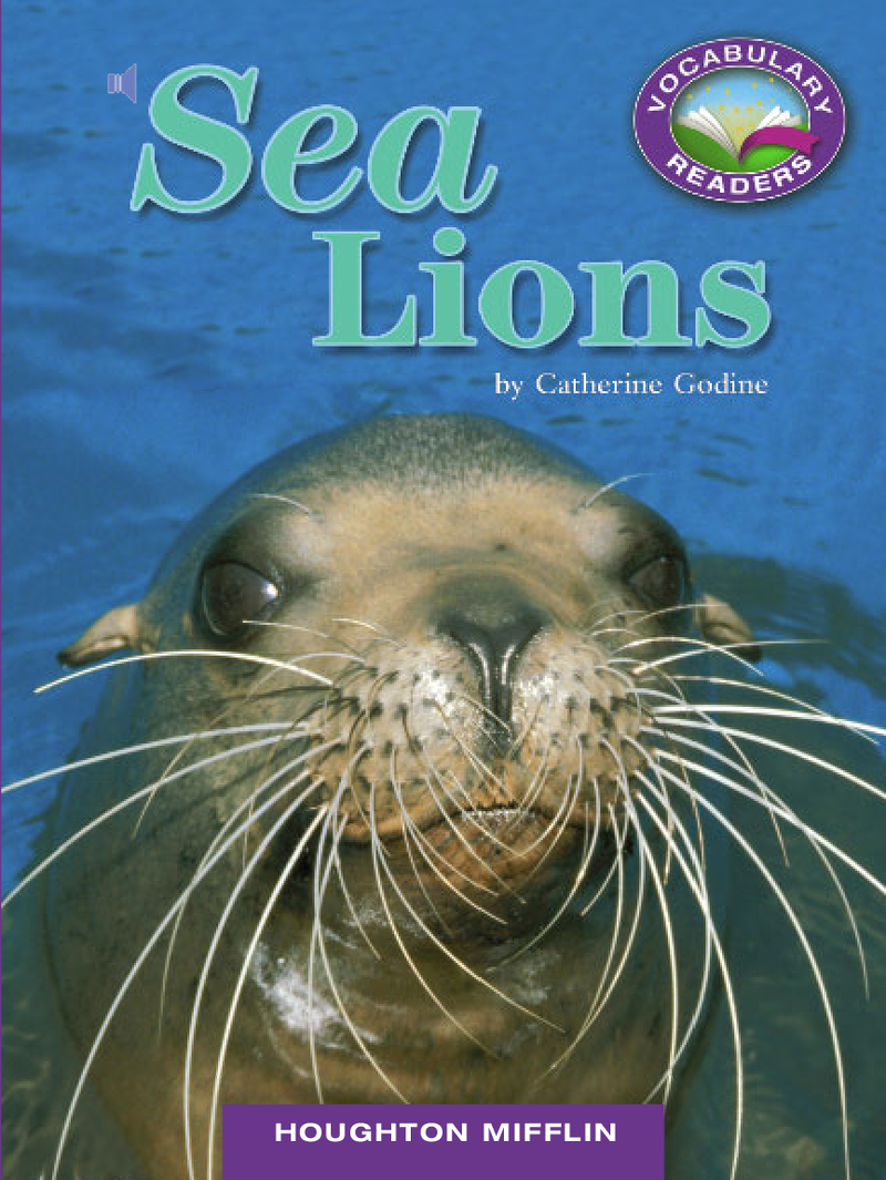 Sea Lions