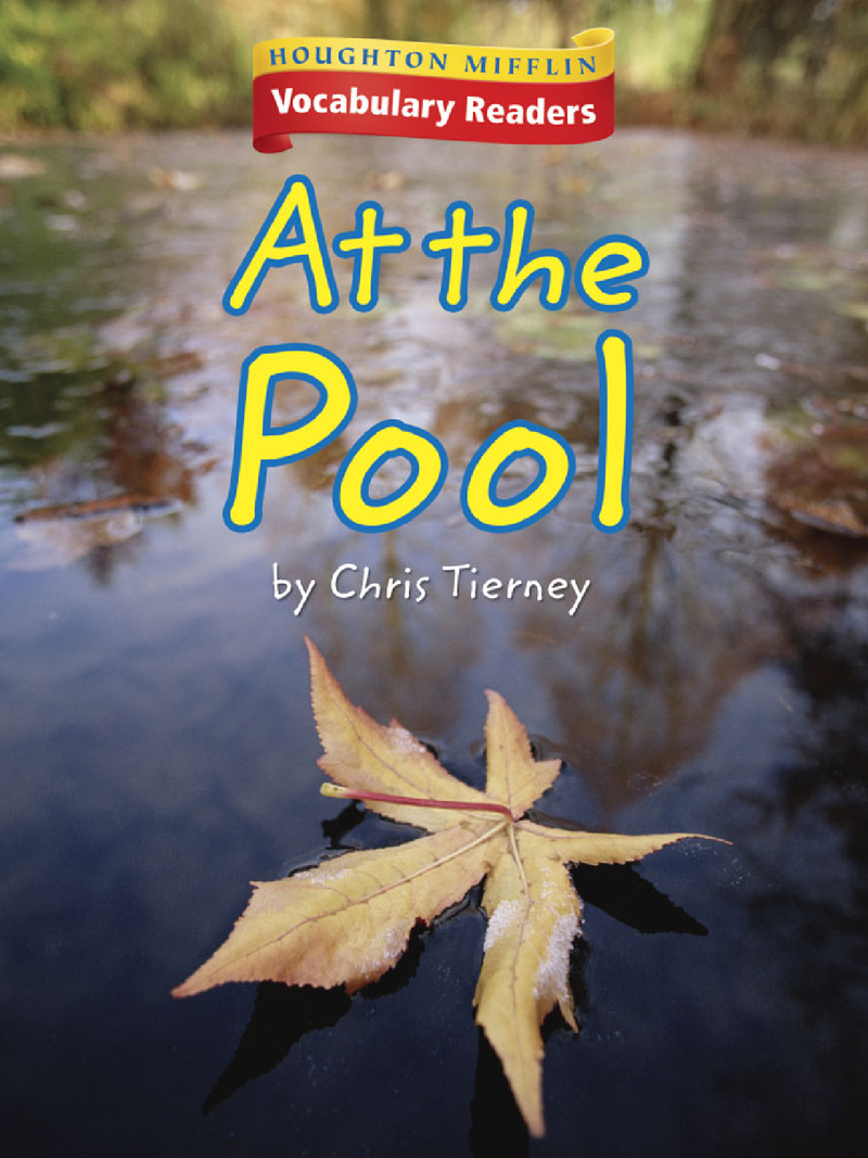1.2.3 - At the Pool