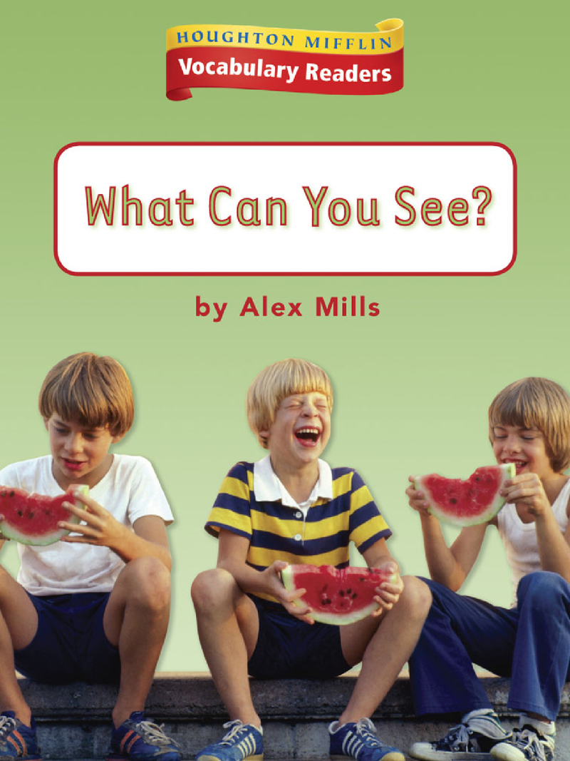 1.6.1 - What Can You See