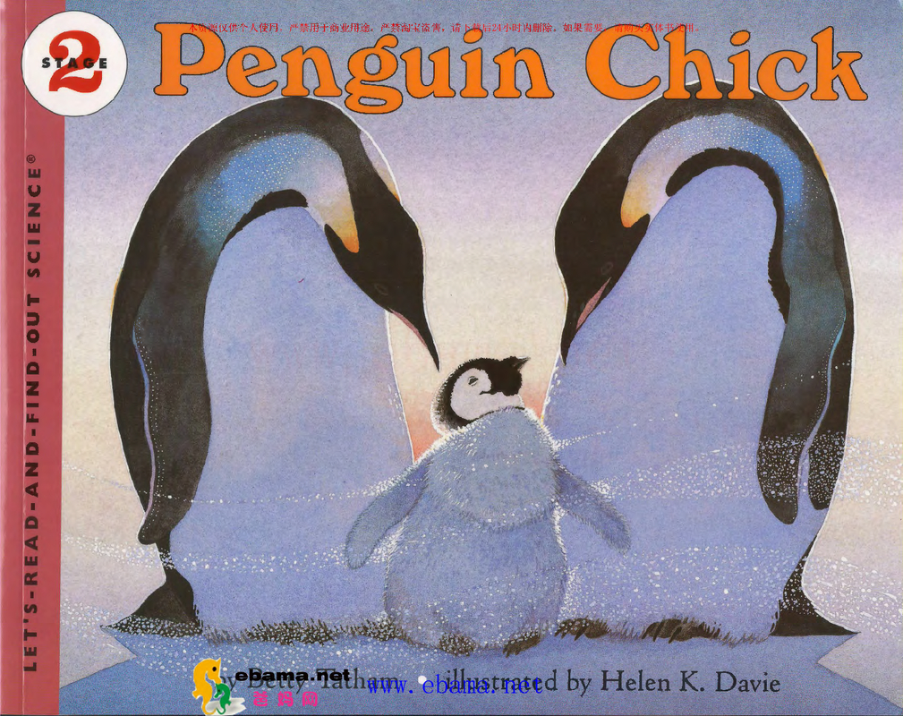 Penguim Chick