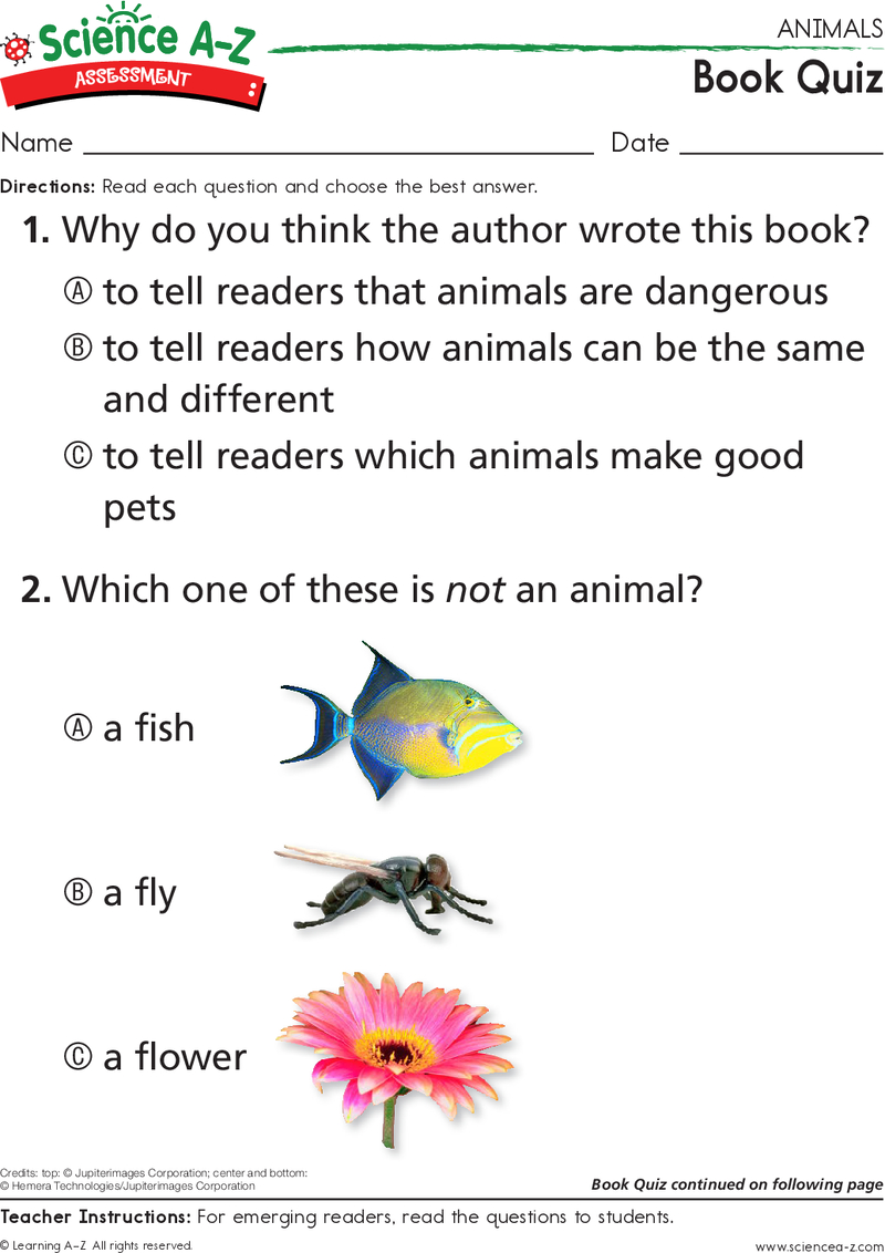 Animals-mid-quiz