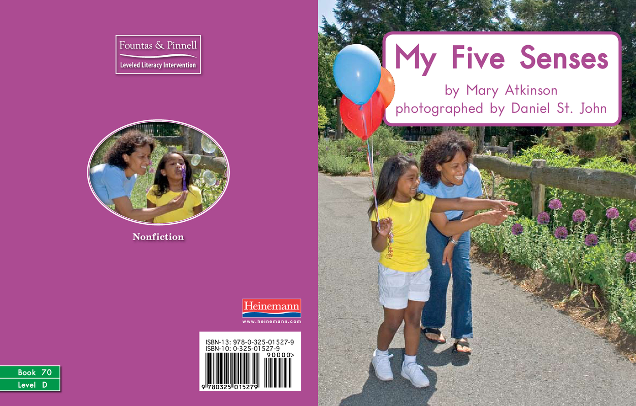 My five senses