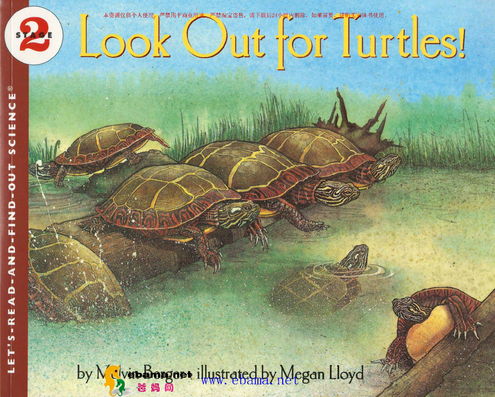 Lood Out forTurtles!