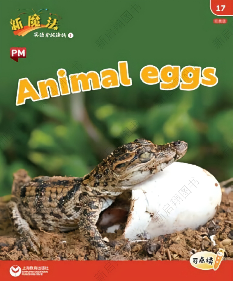 L1_17 Animal eggs