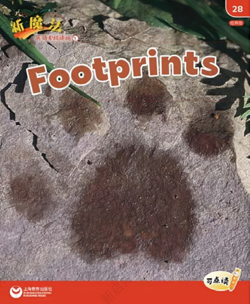 L1_28 Footprints