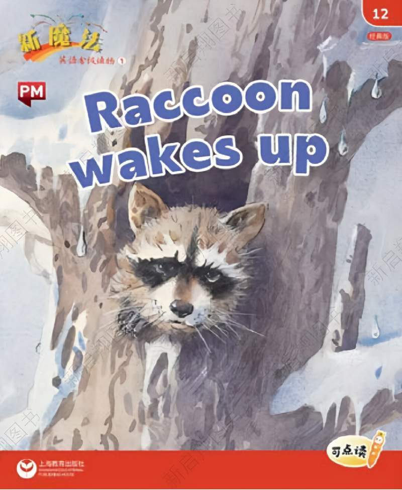 L1_12 Raccoon wakes up