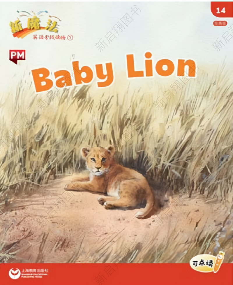 L1_14  Baby lion