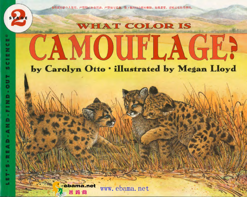 what color is Camouflage