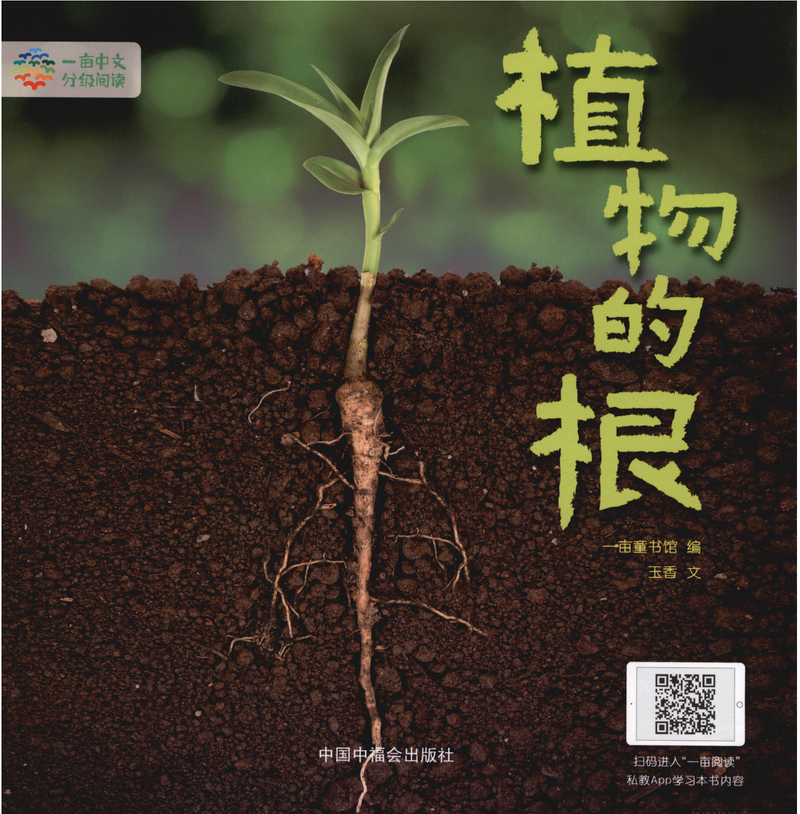 植物的根