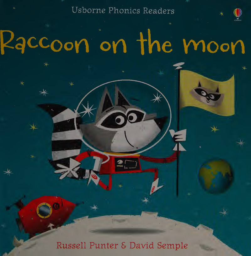 Raccoon on the Moon