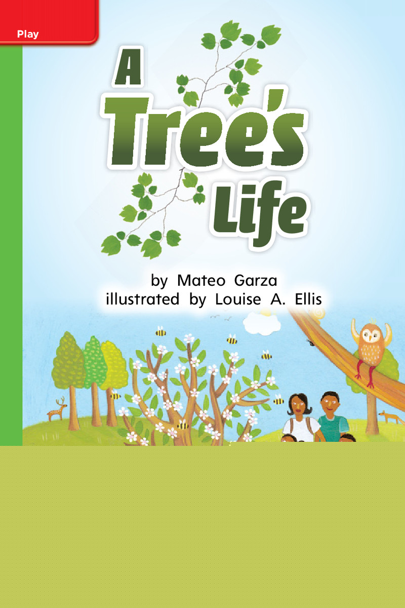 G1 Bey U3W2 A Tree's Life