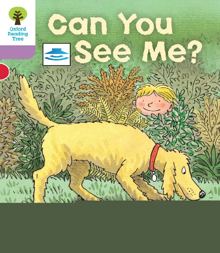 Can You See Me