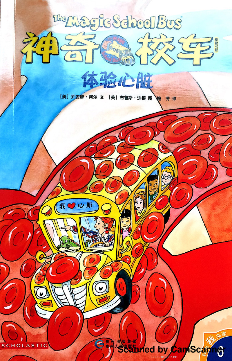 体验心脏