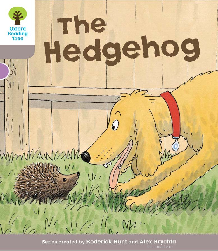 the hedgehog