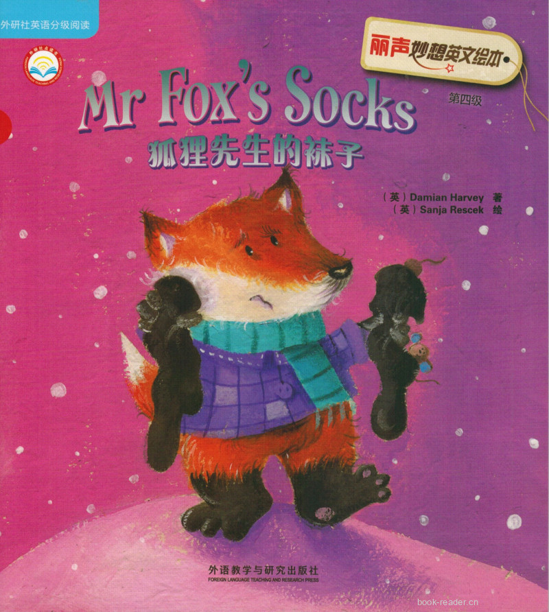 Mr Fox's Socks