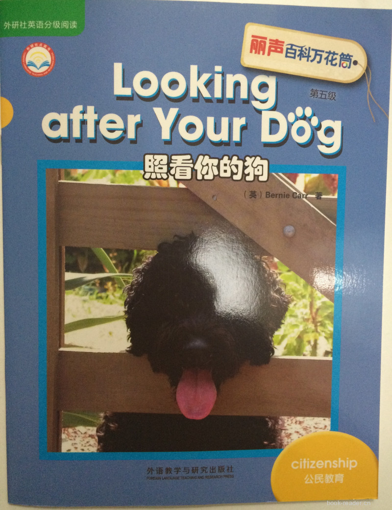 Looking after Your Dog