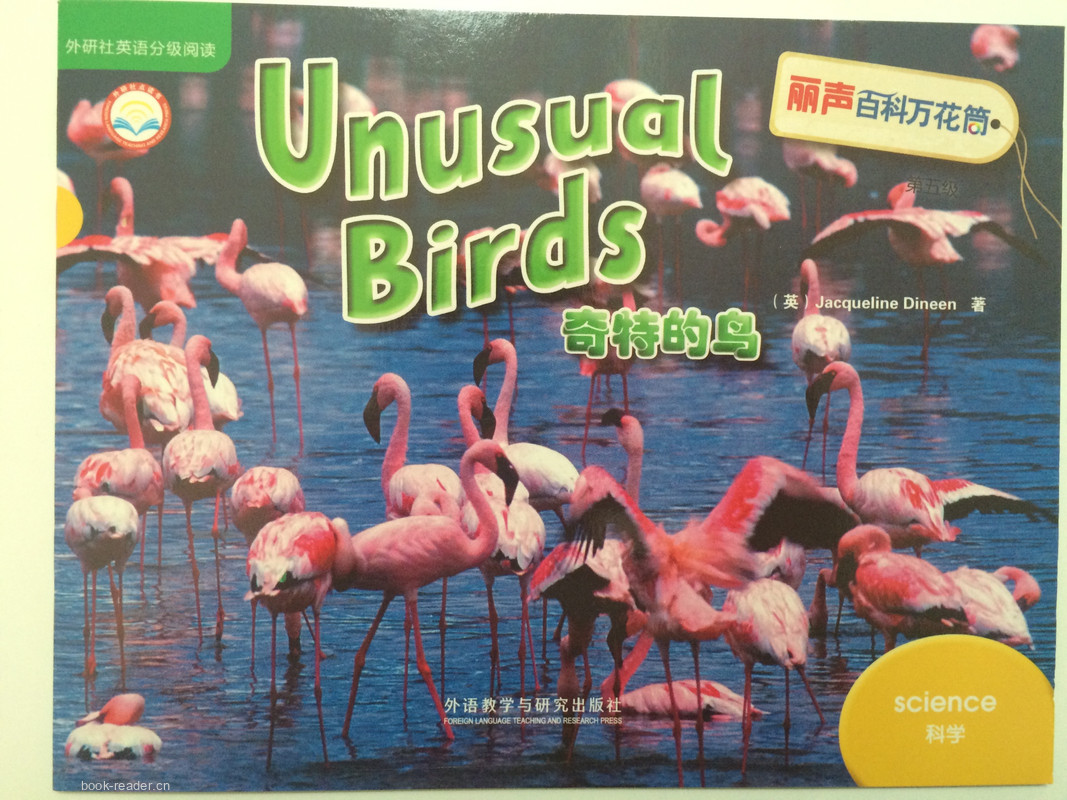 Unusual Birds