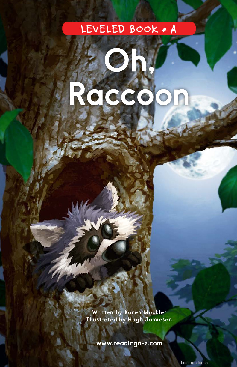48_Oh,Raccoon