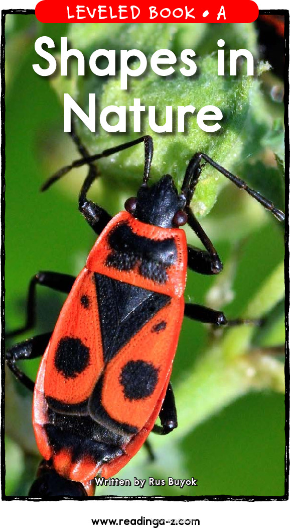 67_Shapes In Nature