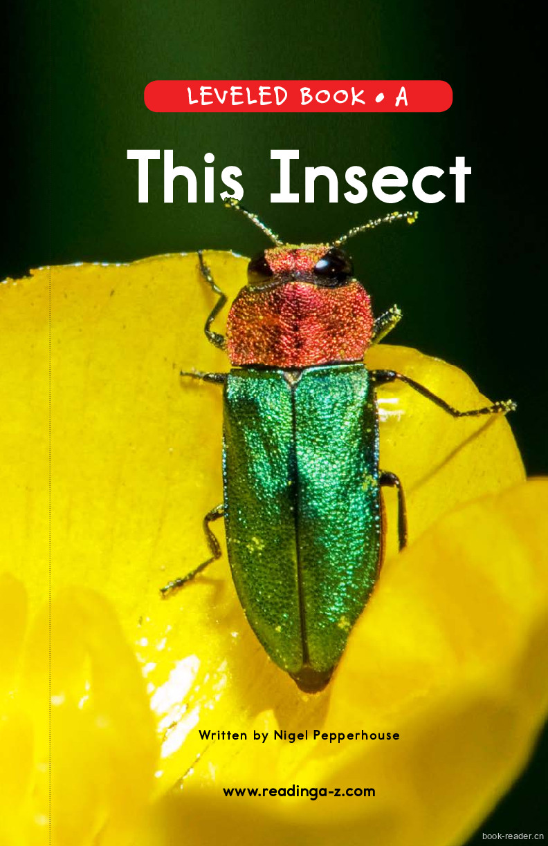 78_This Insect