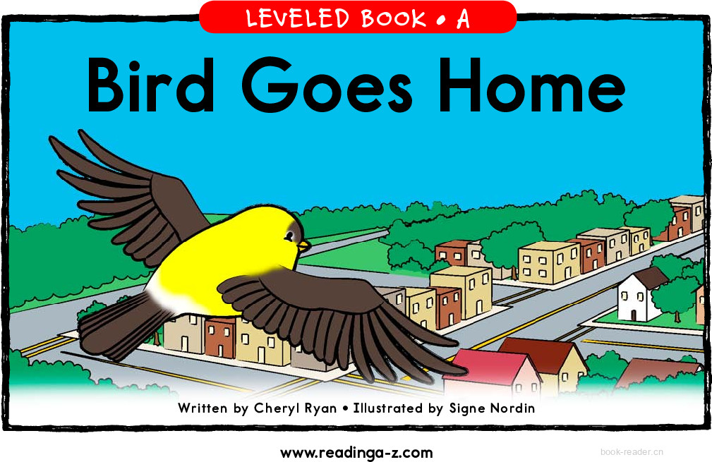 03_Bird Goes Home